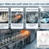 Quy trình sản xuất găng tay latex
