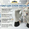 Lựa chọn nhà cung cấp găng tay phủ ngón