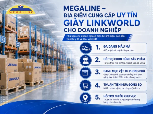 Nhà cung cấp giày Linkworld