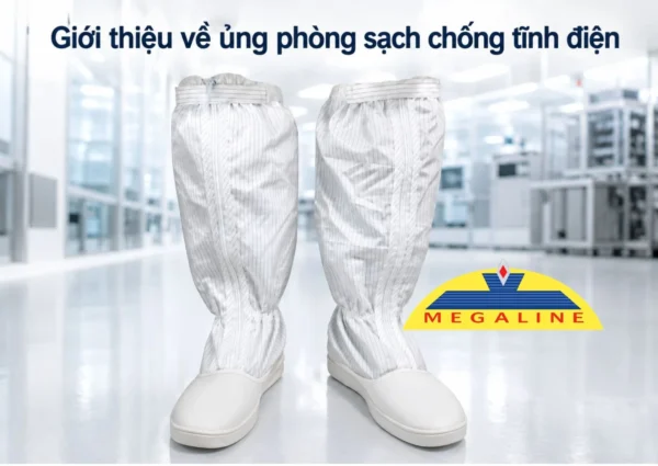 Giới thiệu ủng phòng sạch