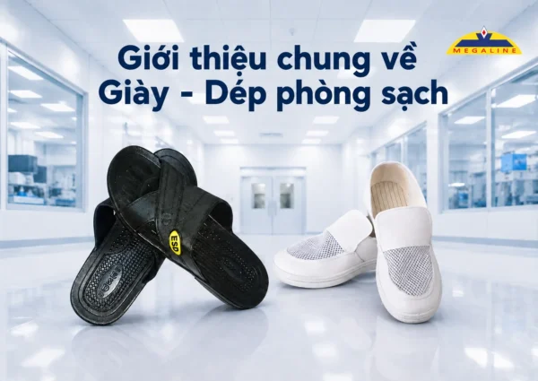 Giới thiệu giày dép phòng sạch