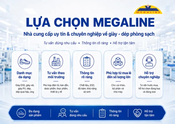 Nhà cung cấp giày dép phòng sạch